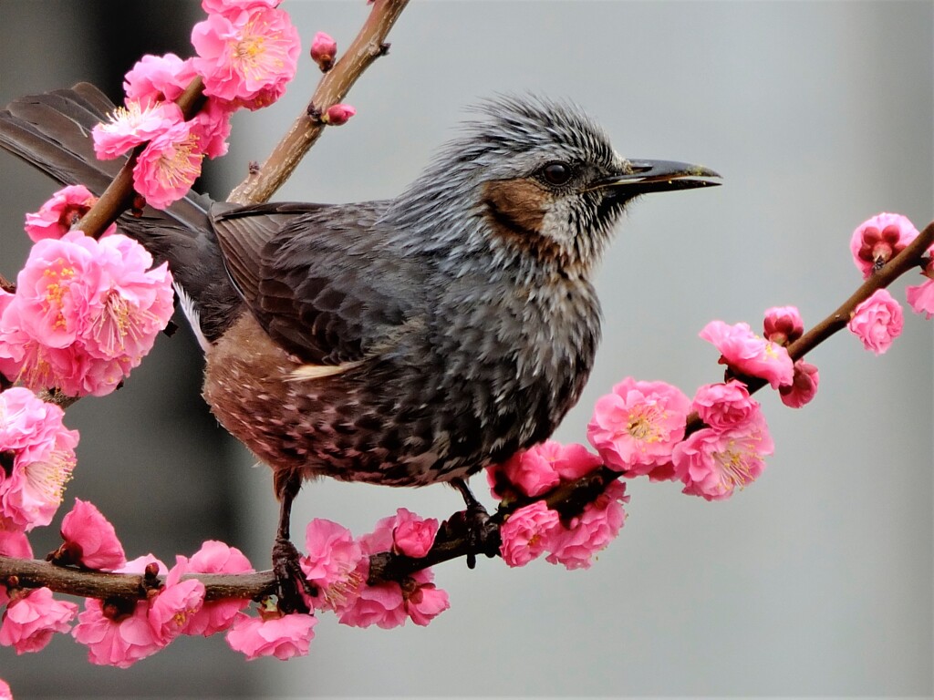窓からそっと