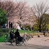 それぞれの春休み