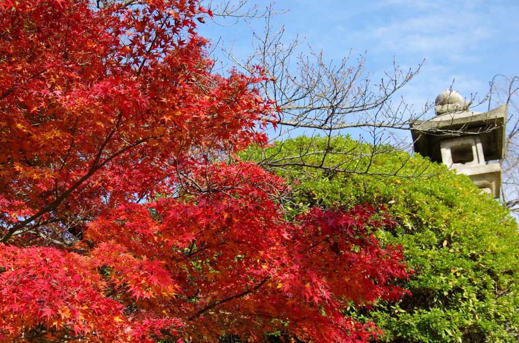 三色の風景