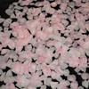 薔薇風呂(◍ ´꒳` ◍)b