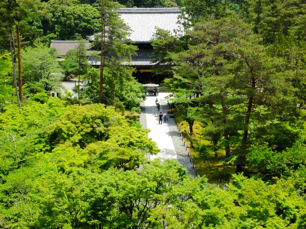 新緑南禅寺