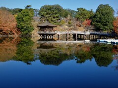 空冴え 水冴える