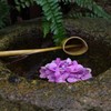 紫陽花の候