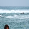 残念海水浴