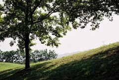 公園風景