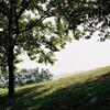 公園風景