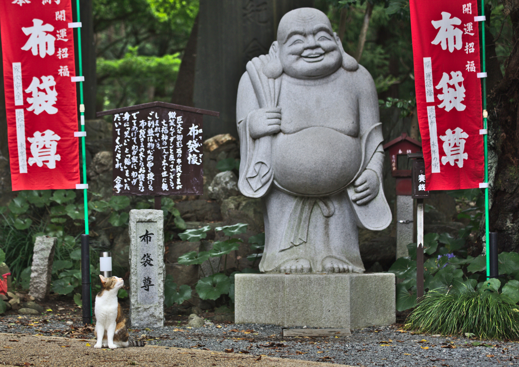 コンビ