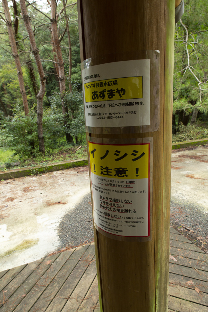 そういう事は、先に言え！（ネタにつきスルー推奨）