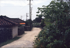 竹富島２