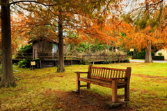 写真が上手く撮れなかったから加工しまくって誤魔化してみました　６