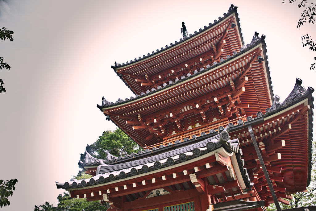 お出迎え