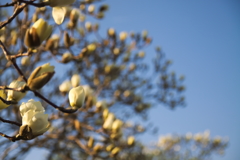 近所の公園にて