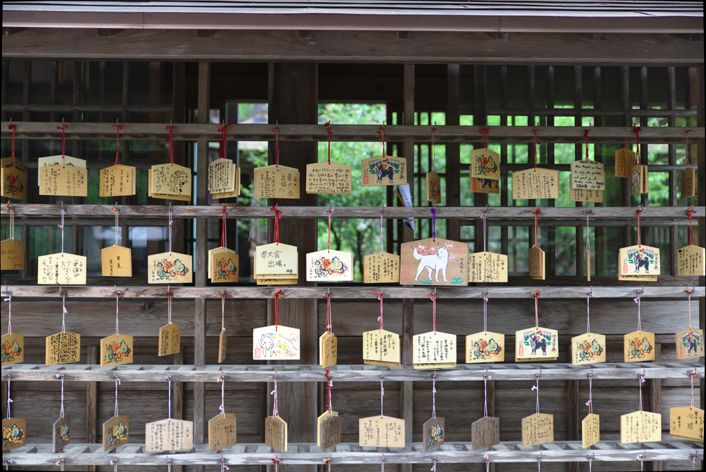 蔵出し　遠州小国神社　６