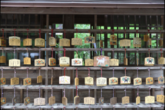 蔵出し　遠州小国神社　６