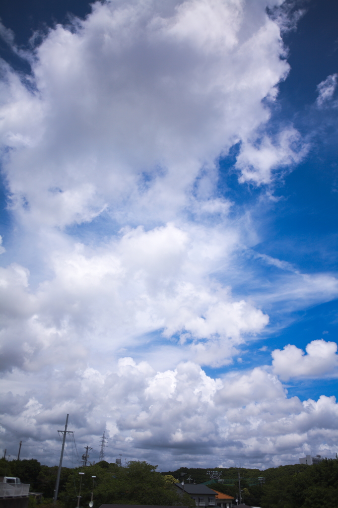 雲！　以上！　その２