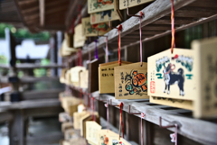 蔵出し　遠州小国神社　５