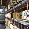 蔵出し　遠州小国神社　５