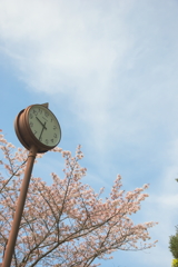 すっかり春ですねぇ