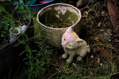 みーつけた