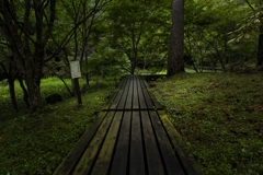 ロケハンに行ってきましたよ　in　静岡県立森林公園