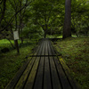 ロケハンに行ってきましたよ　in　静岡県立森林公園