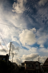 今週の一枚