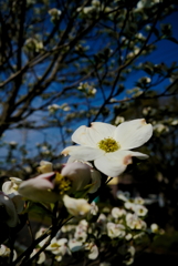 公園にて