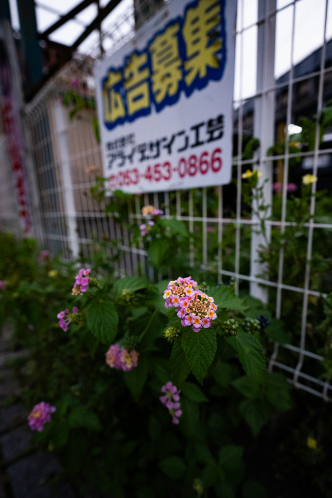 街角