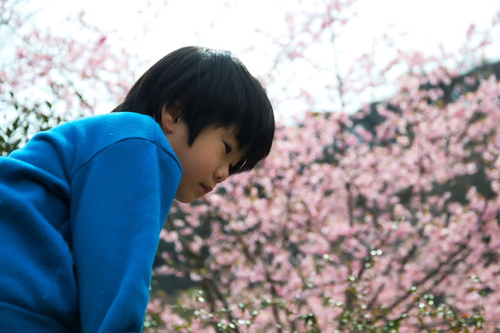 桜の前で