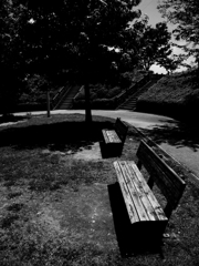 いつもの公園