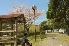 すっかり春だなぁ〜