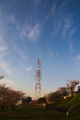 予報が外れていい天気だったので、早起きしてリベンジしてみました　６