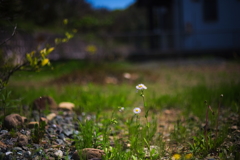 季節到来　（５D試写）
