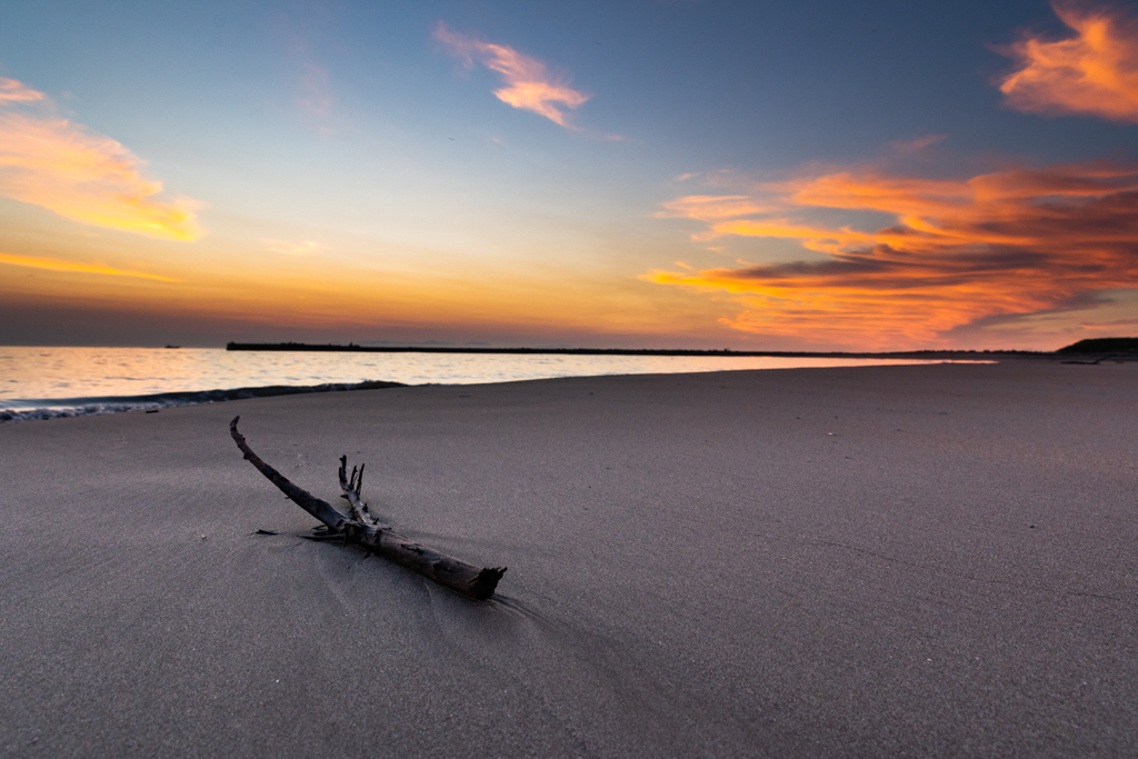 Dawn