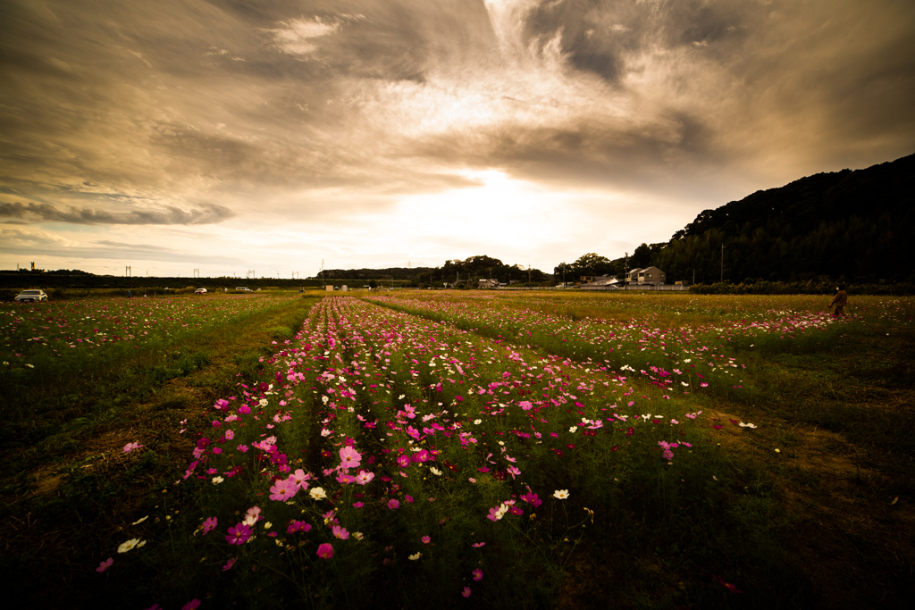 夕暮れ　