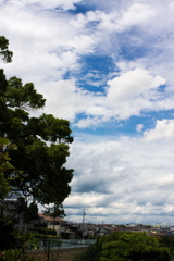 夏の空