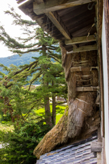 屋根