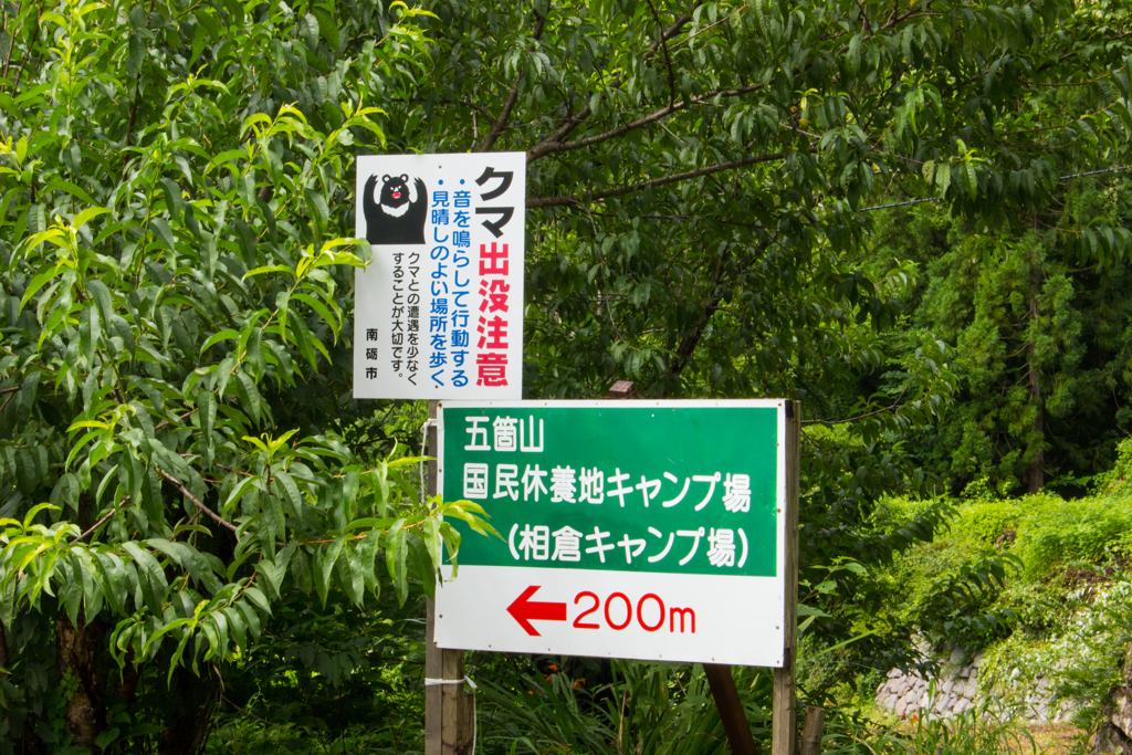く、くま…