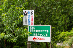 く、くま…