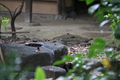 Photoshopするまえ