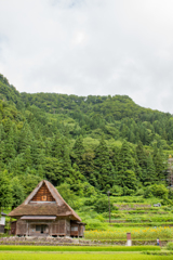 合掌造り