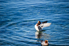 IMG_4855