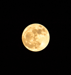 IMG_4637_12