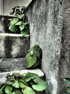 一歩一歩