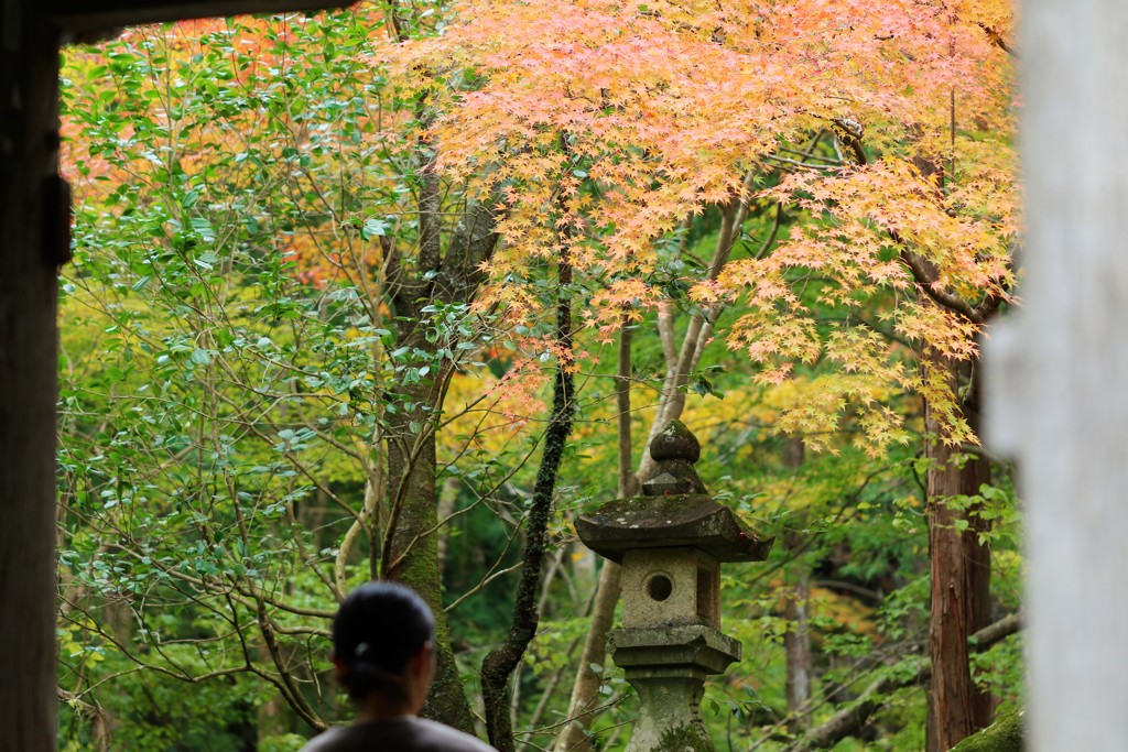 別世界への入り口