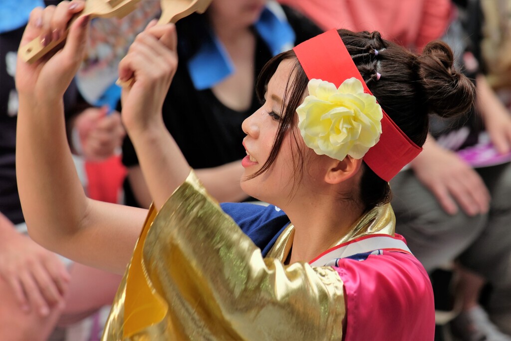 2019よさこい祭りの踊り子たち 22