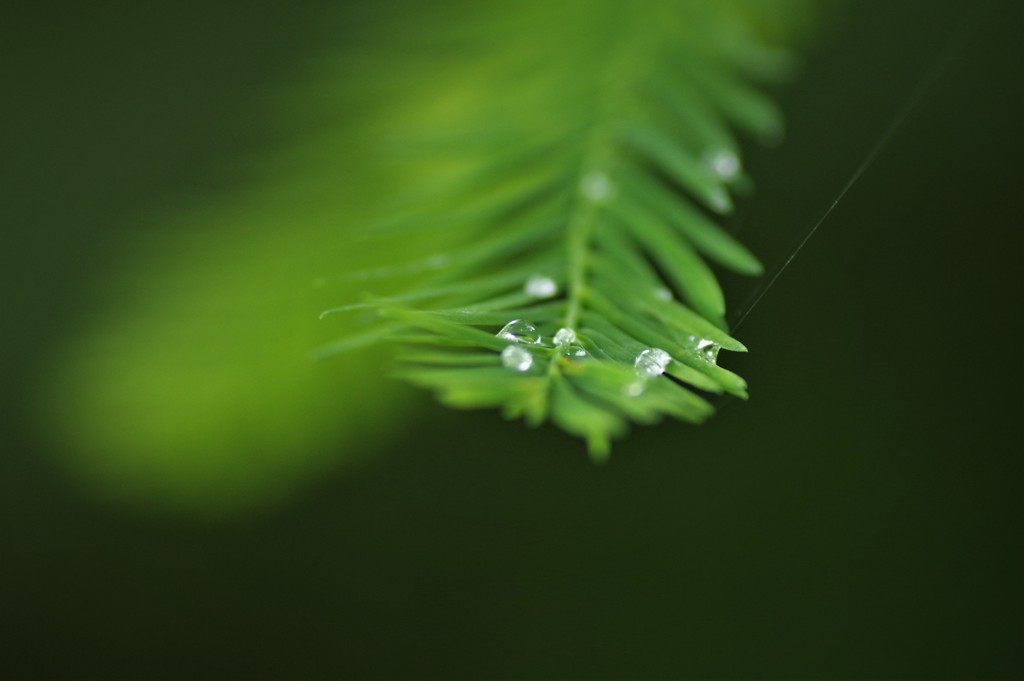 水滴