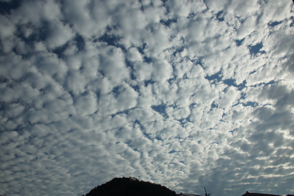 秋の空