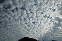 秋の空
