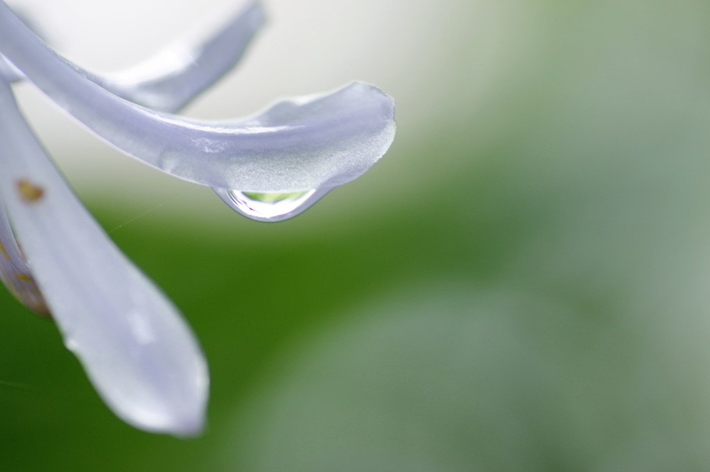 雨あがる